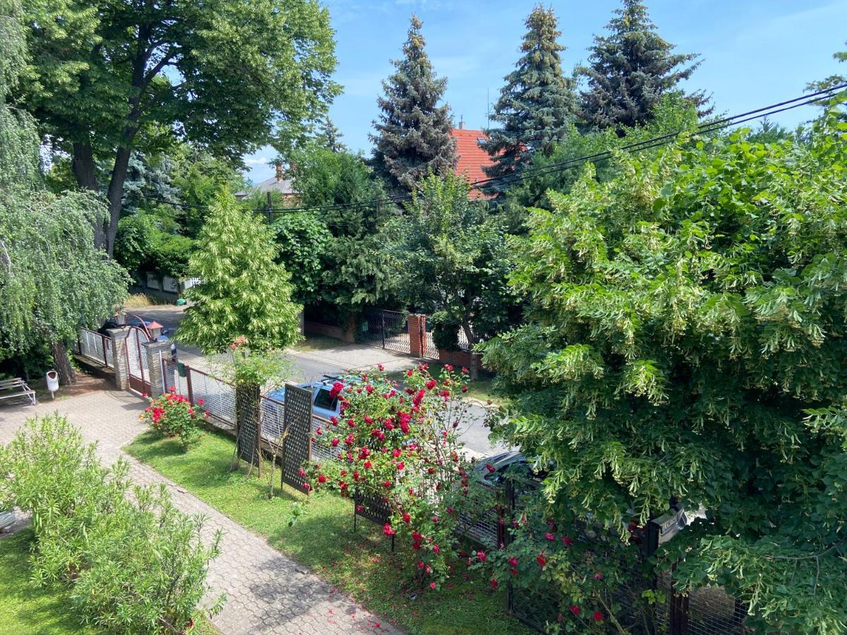 Veronika Apartman Balatongyörök エクステリア 写真